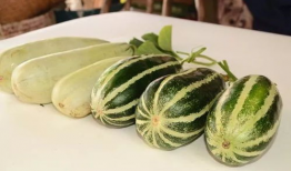 网红吃瓜爆料大全,揭秘娱乐圈幕后真相